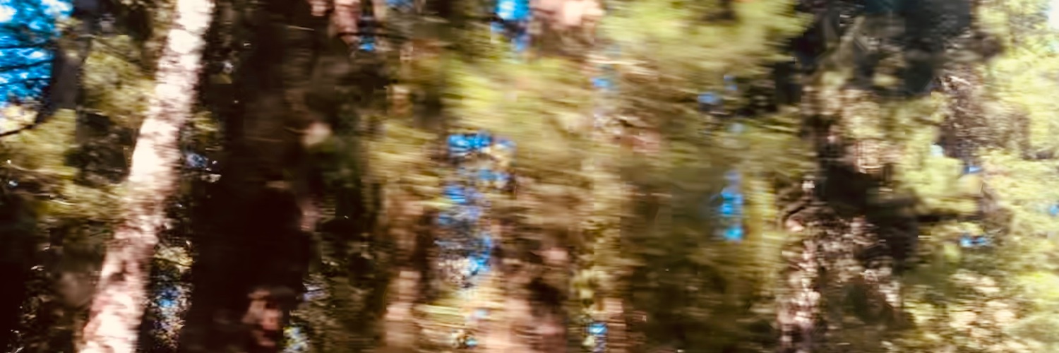 btsujsti's profile banner image