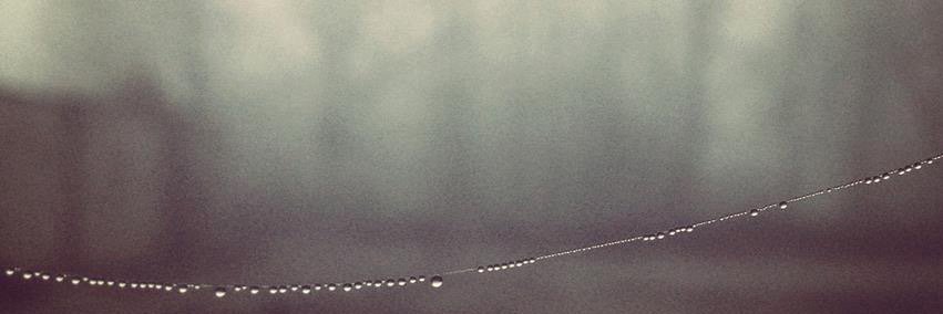 liederlindaa's profile banner image