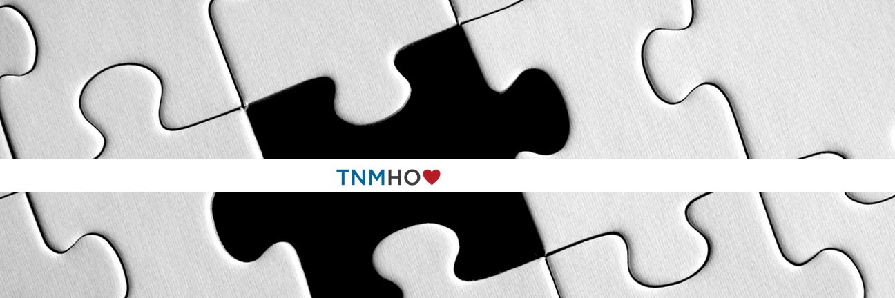 TNMHO's profile banner image