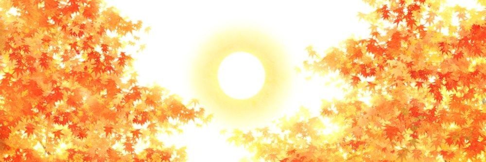 TaiyoNoShison's profile banner image