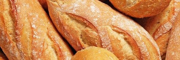 Panmenides's profile banner image