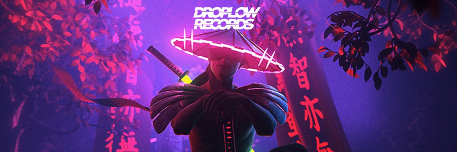DropLow_Records's profile banner image