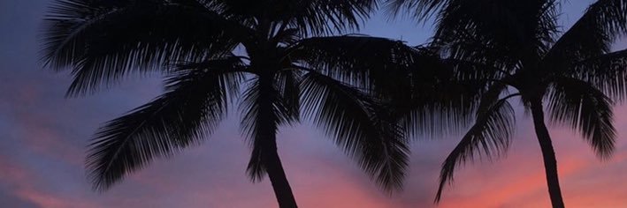lexilingo's profile banner image