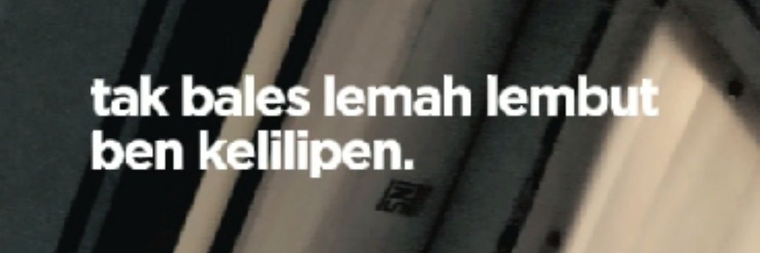 biji melon 🍈 banner