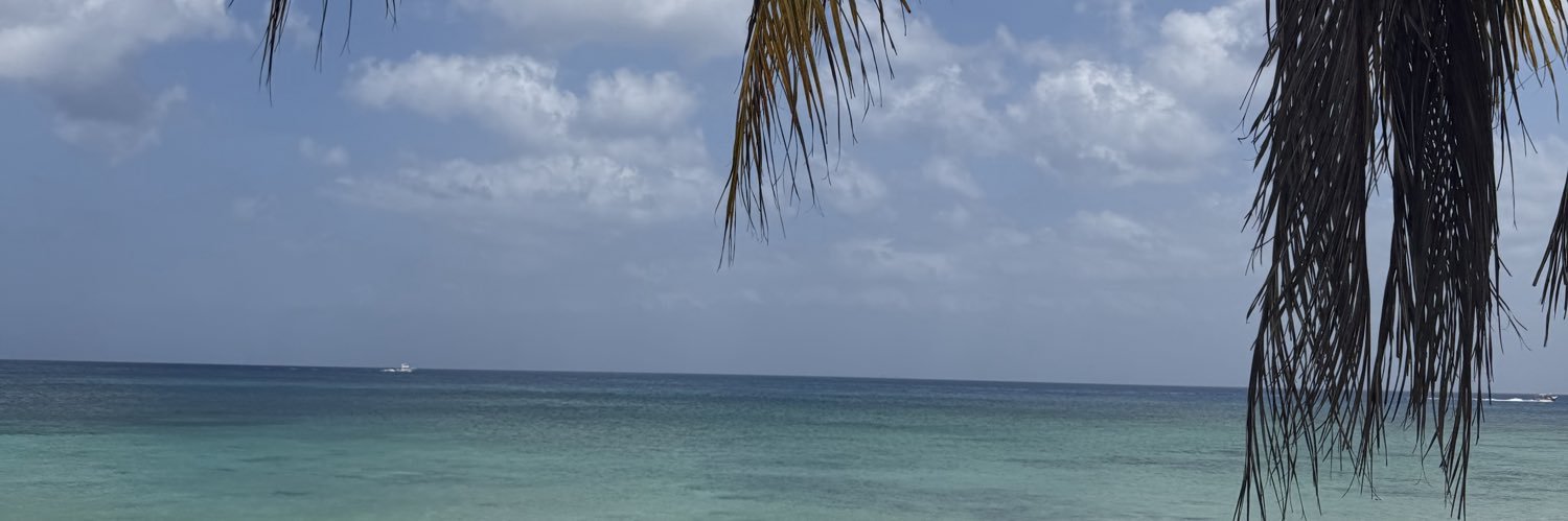 Valentinairiar9's profile banner image