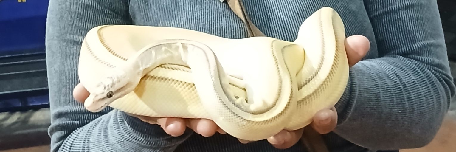 Marysolbbb's profile banner image