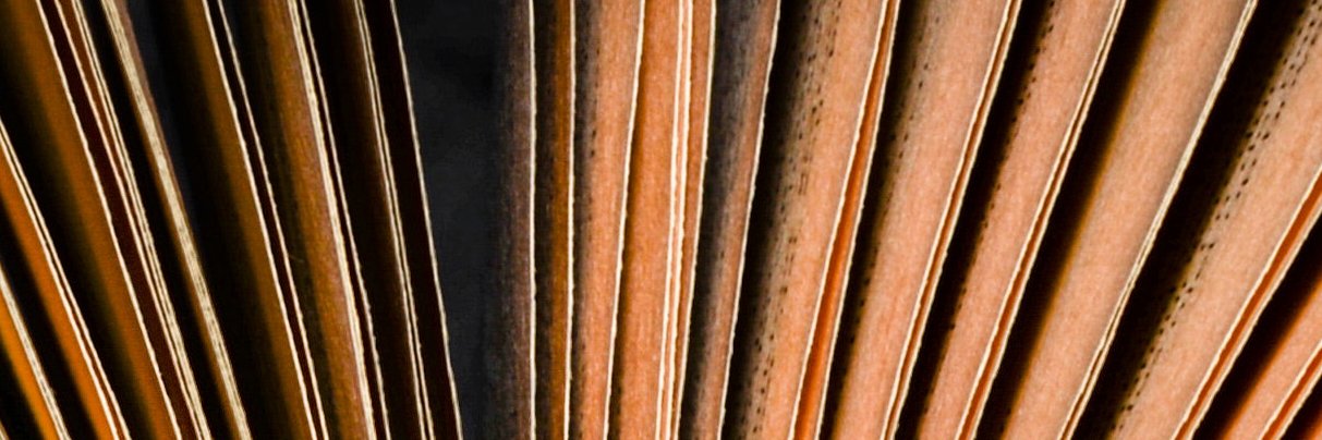 DUMBridge_'s profile banner image