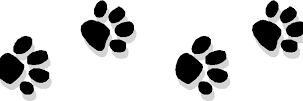 Wildflowerhsd2's profile banner image