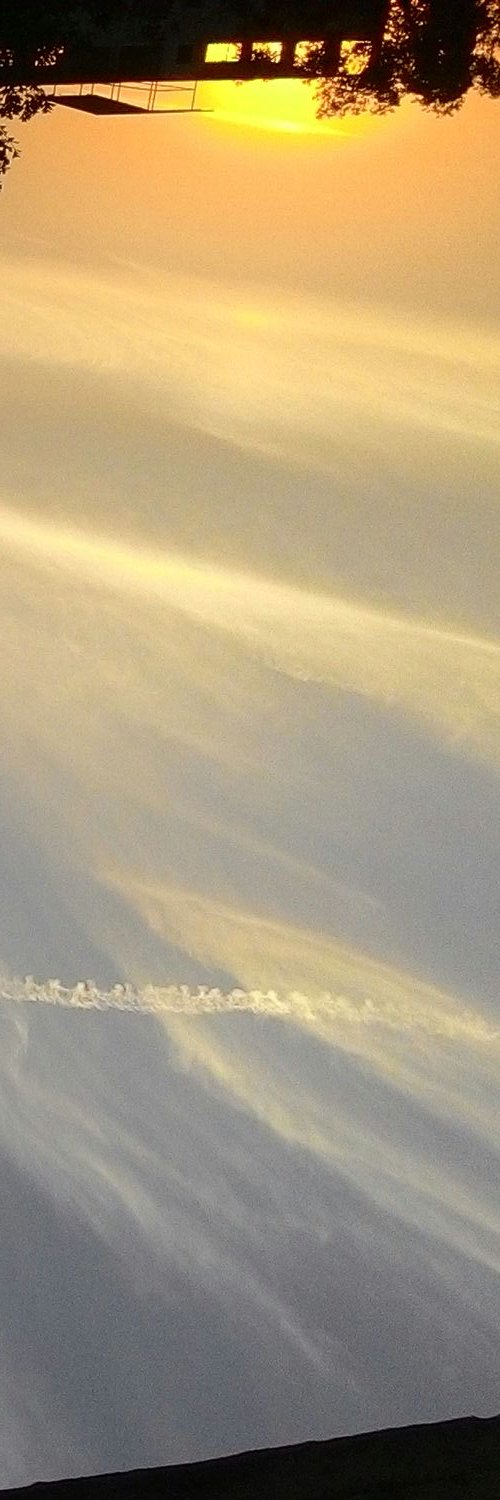 yadneshss's profile banner image