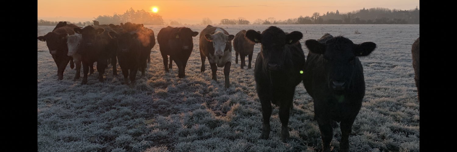 Charlotte Powell banner