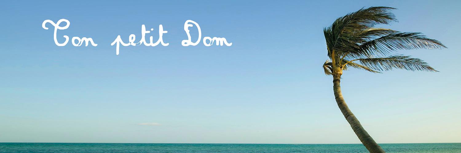 TONPETITDOM's profile banner image