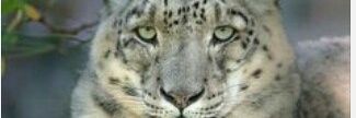 sang_colleta's profile banner image