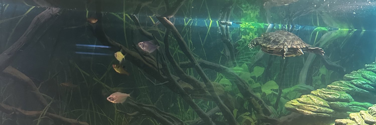 sainttcloud's profile banner image