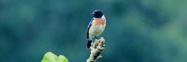 CoEBrwanda Profile Banner