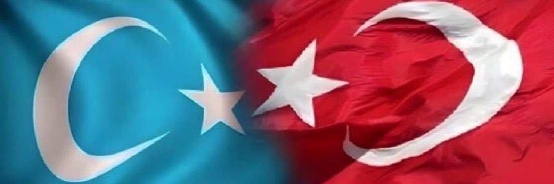 EmineCanoglu's profile banner image