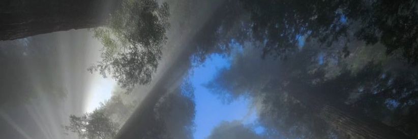 J ☕❄️ banner