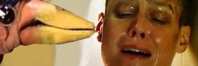 JohnRaemi's profile banner image