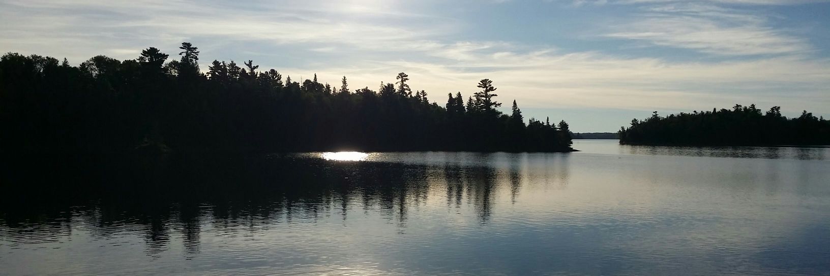 Chris McDaniel banner