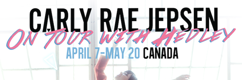 Team Carly Rae banner
