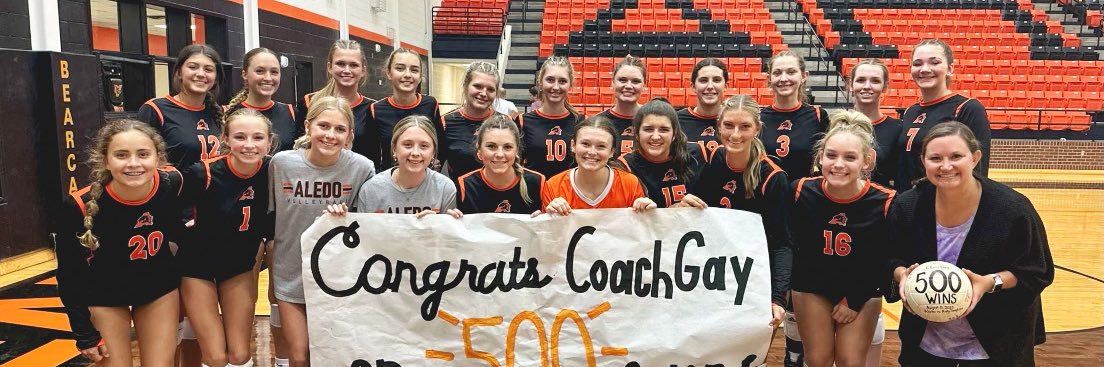 Aledo Ladycat Volleyball banner