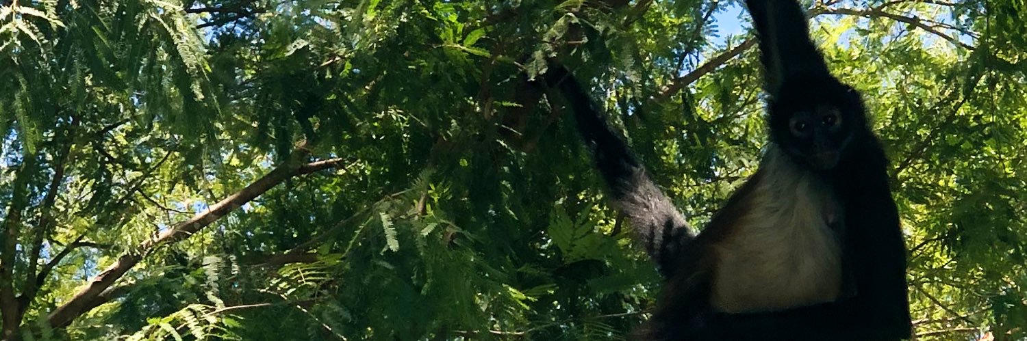 _MoniRC's profile banner image