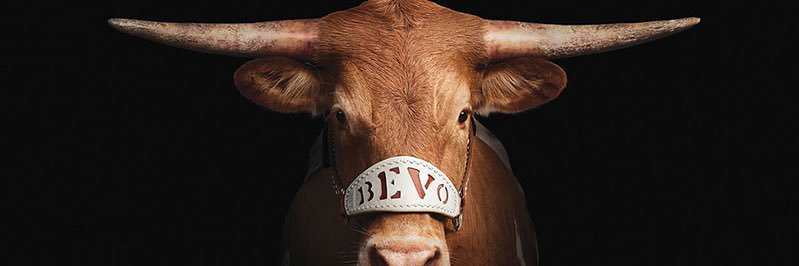 YeeyeeObi's profile banner image