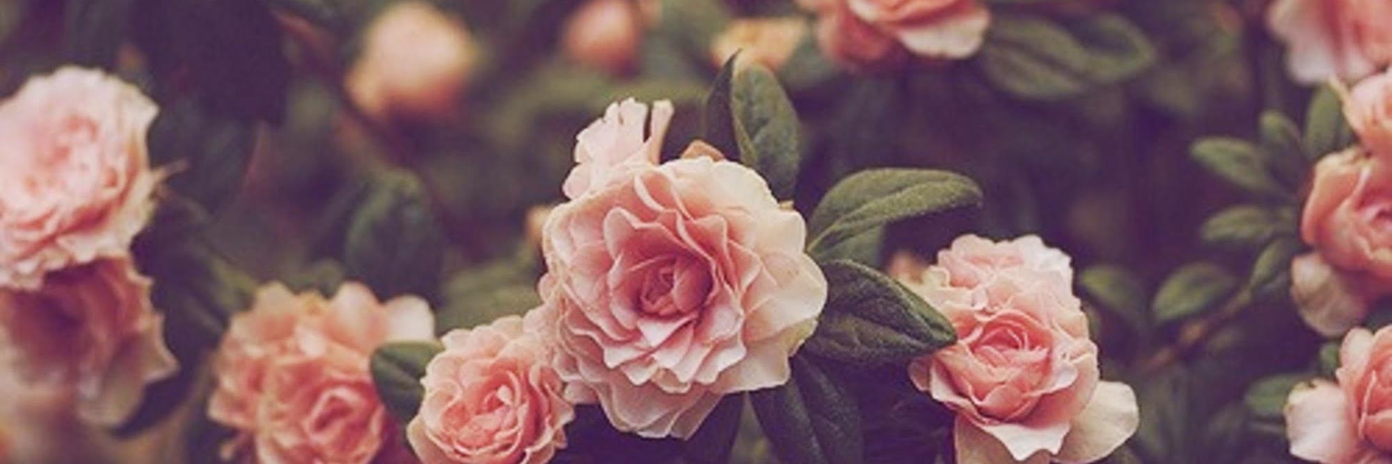 _xokyy's profile banner image