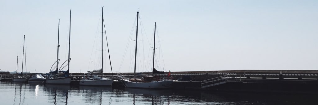 Didier Young banner