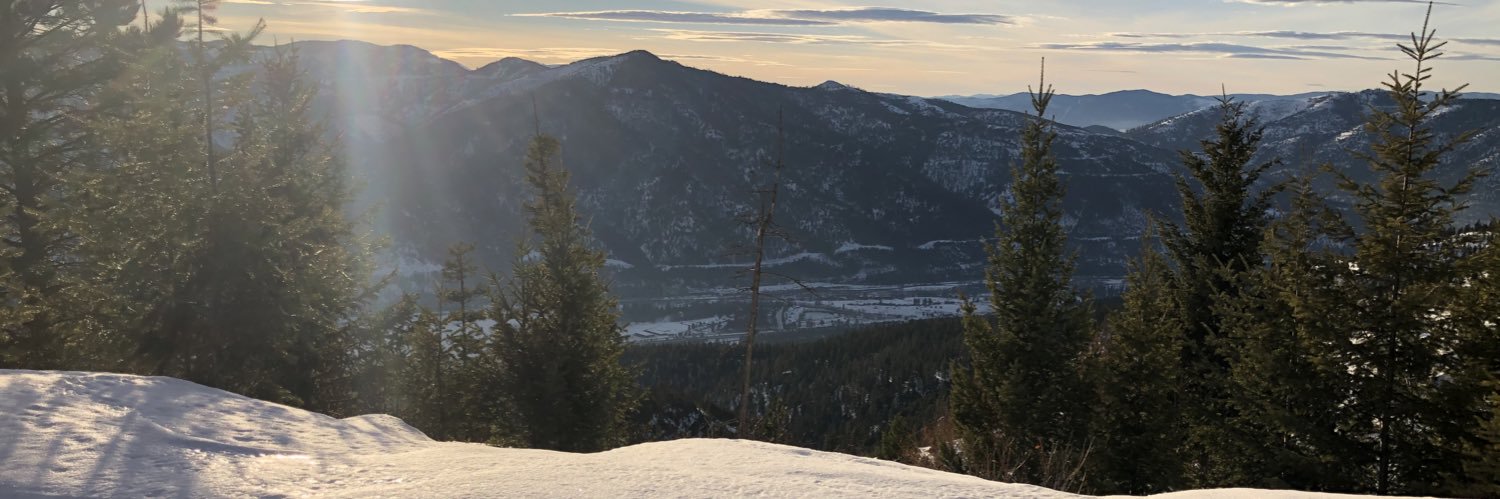 DHeileson's profile banner image