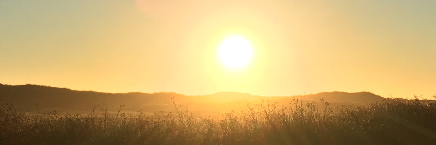 xxandi_'s profile banner image