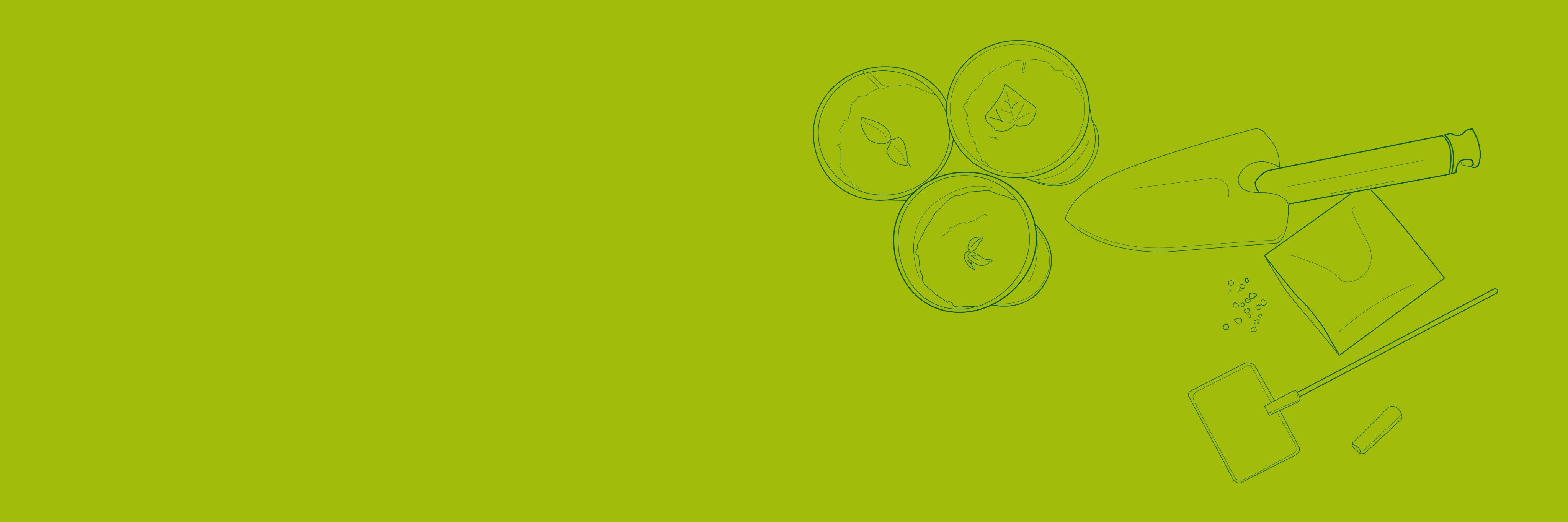 Plantcourse's profile banner image