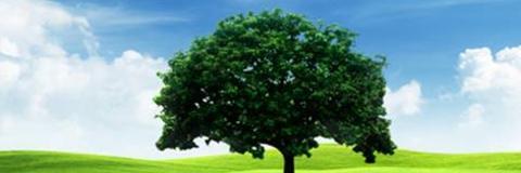 1stpartners4's profile banner image
