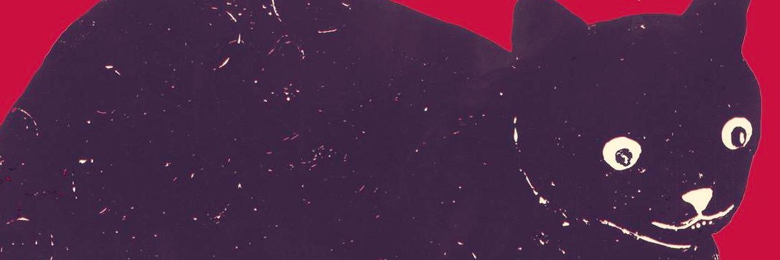 nova ❤️ banner