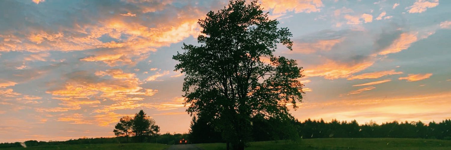 Rachelbillls's profile banner image