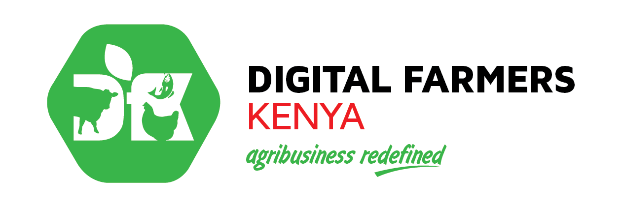 dfk_kenya's profile banner image