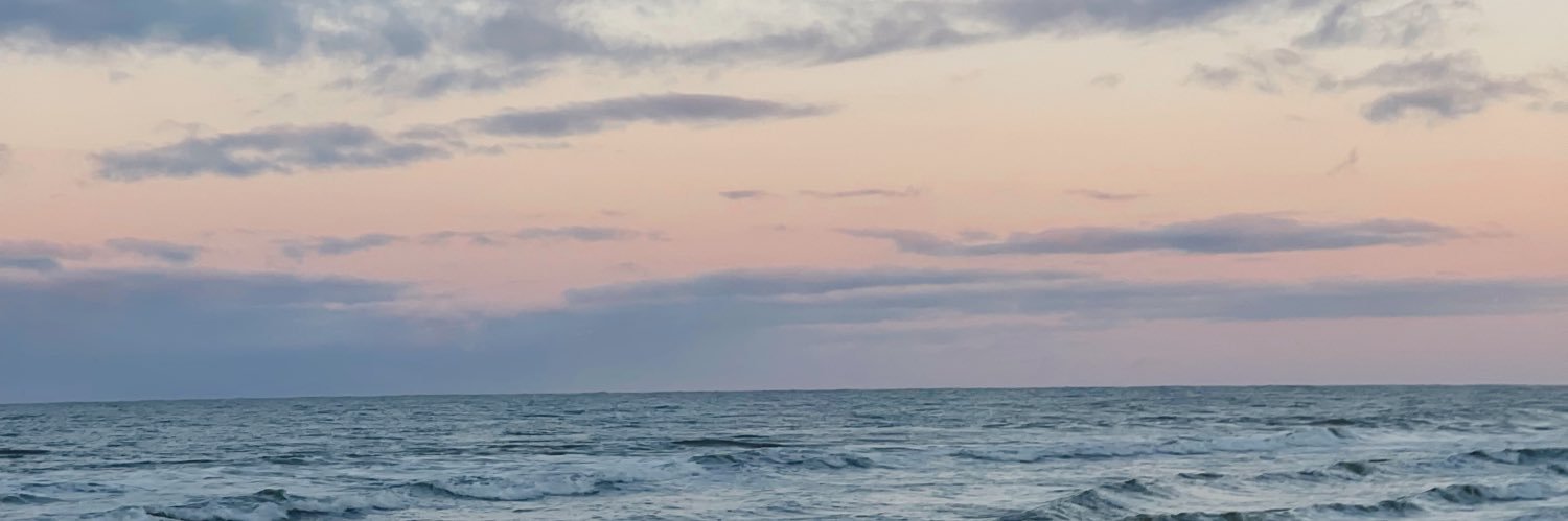 brooklynbrouss's profile banner image