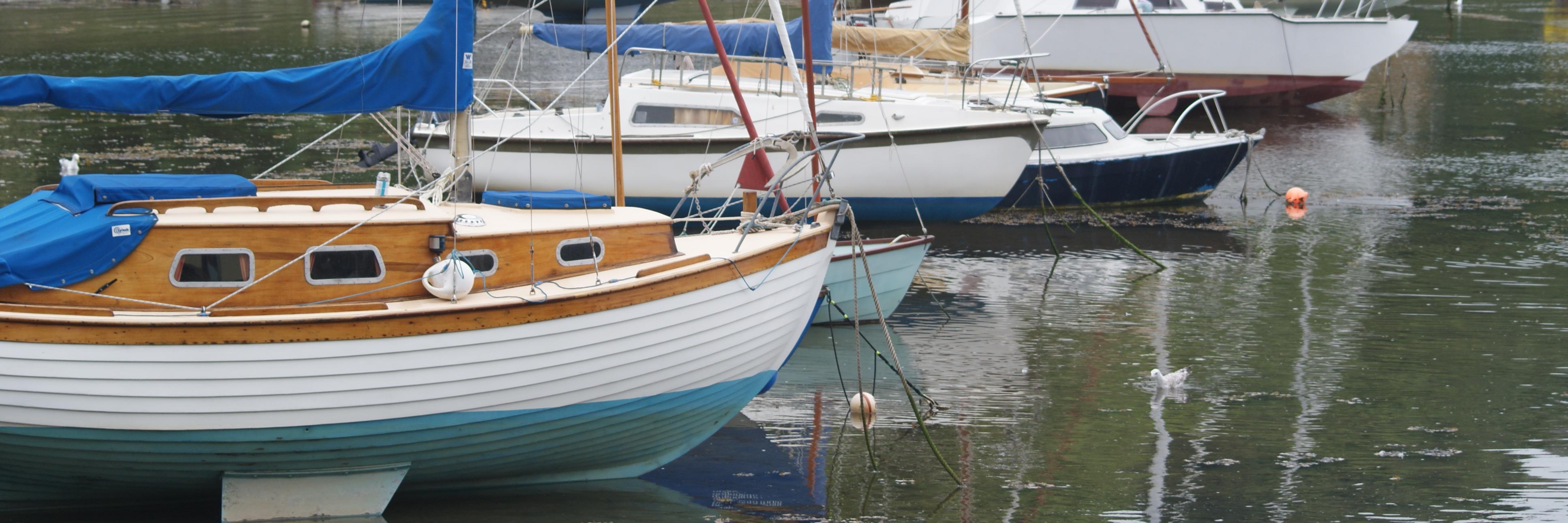 Sally Lewis sallyel.bsky.social banner