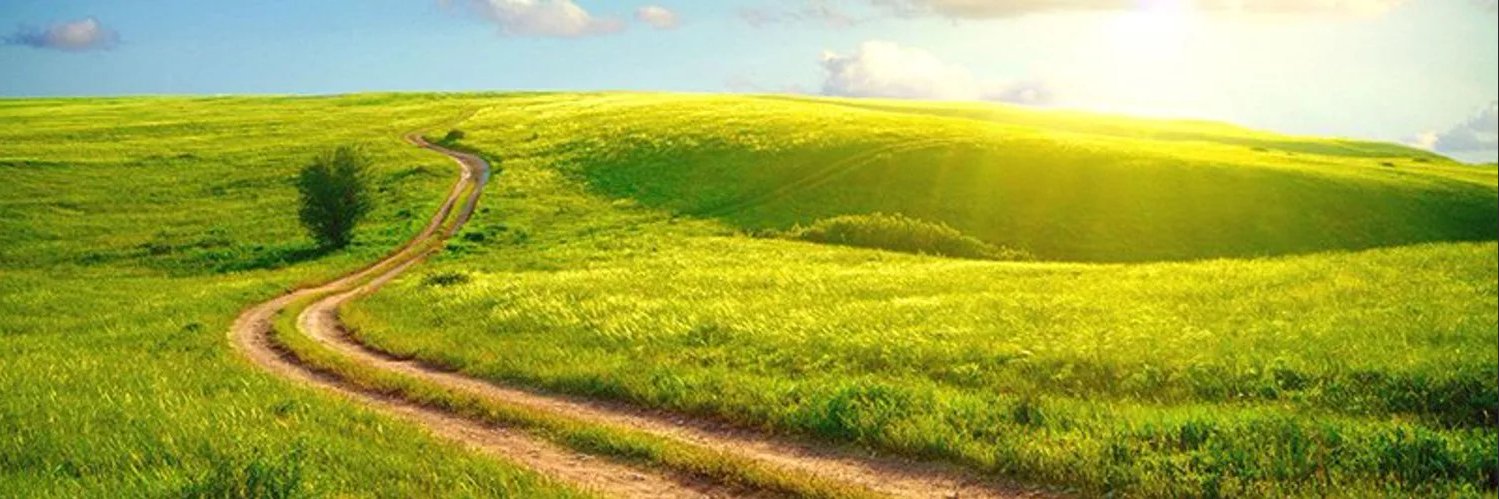 chloereg's profile banner image