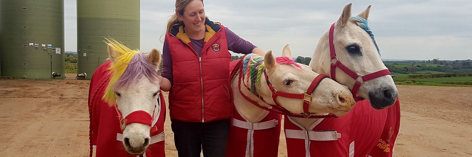 Clip Clop Pony Rides banner
