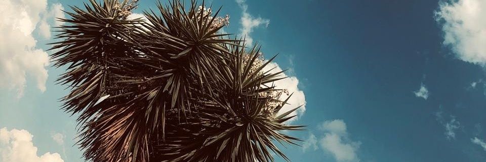 L_lekhetho's profile banner image