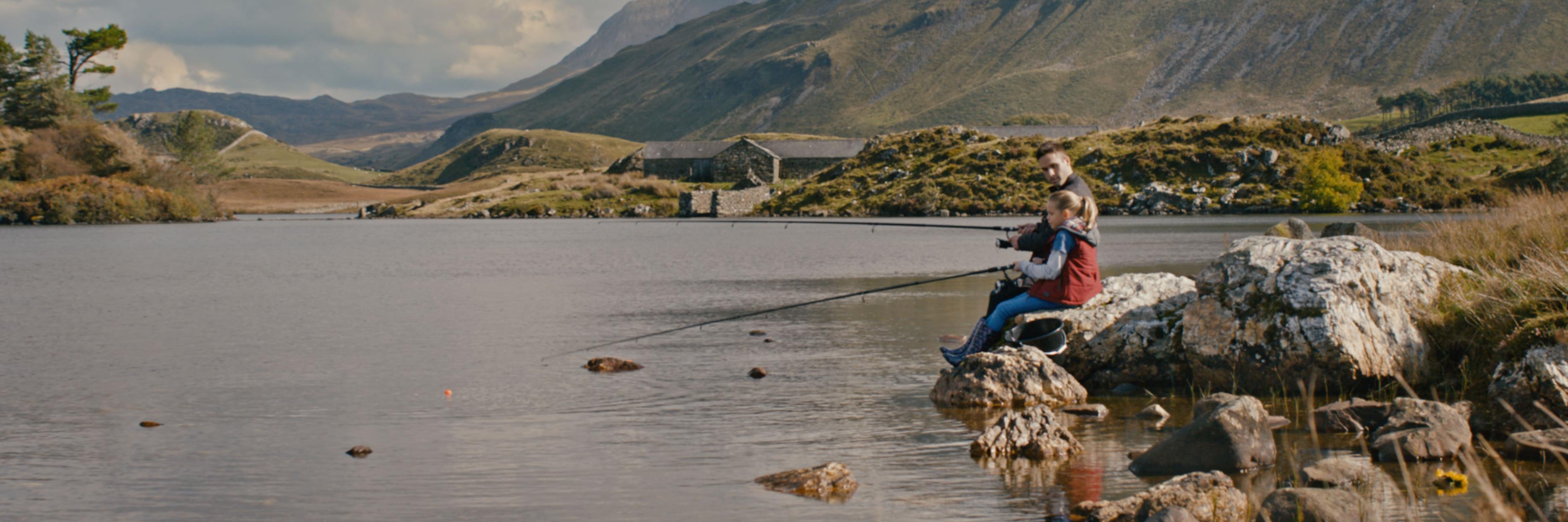 Leaves in Fall banner