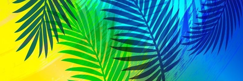 H E R V E 🇹🇬🇨🇦's banner