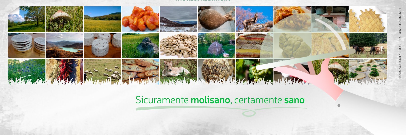 Molisanissimo's profile banner image