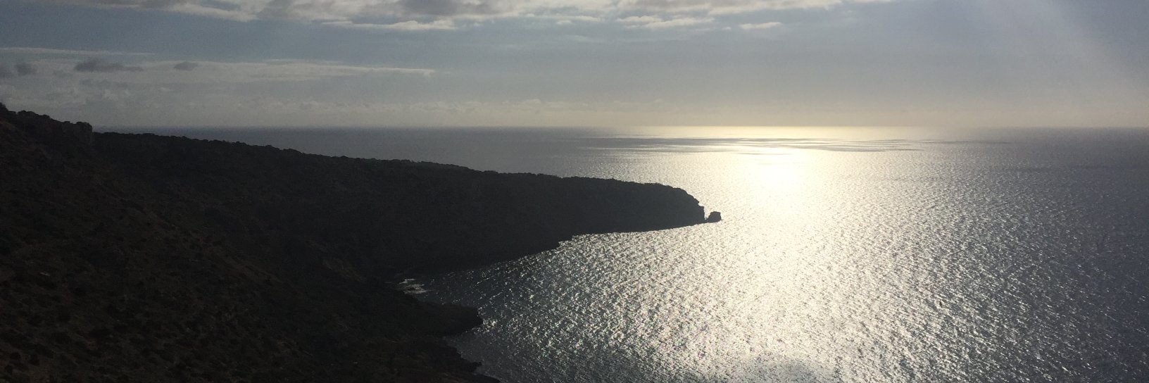 Pal.liatius Balears banner