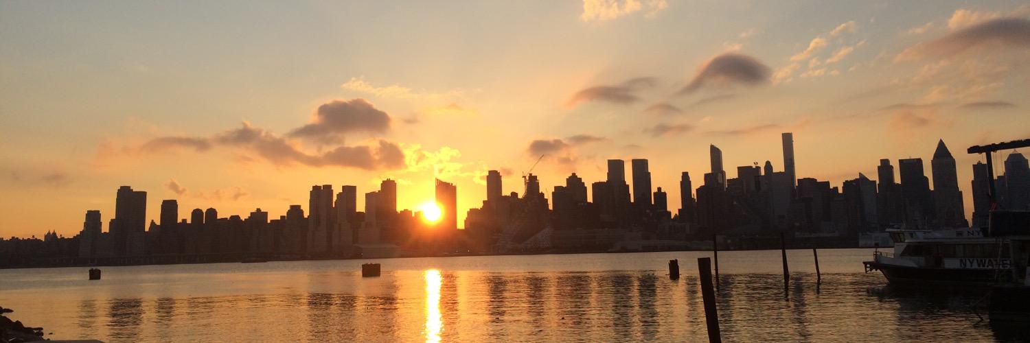 Roberto Pansini banner