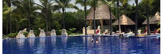 Stephanie B. 💗💚 banner