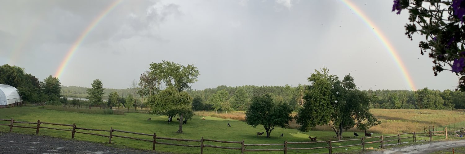MarthaKellyLive's profile banner image