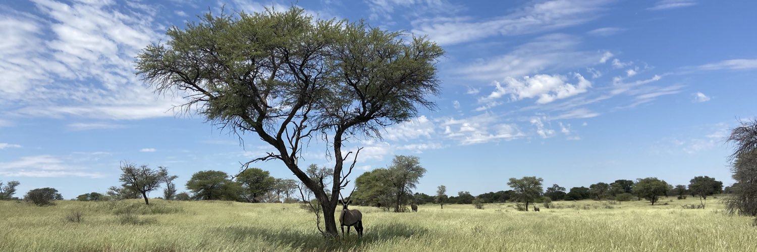 David Lawrence banner