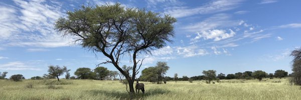 drdavidlawrence Profile Banner