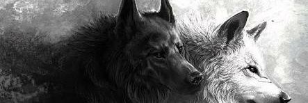 1N23456 banner